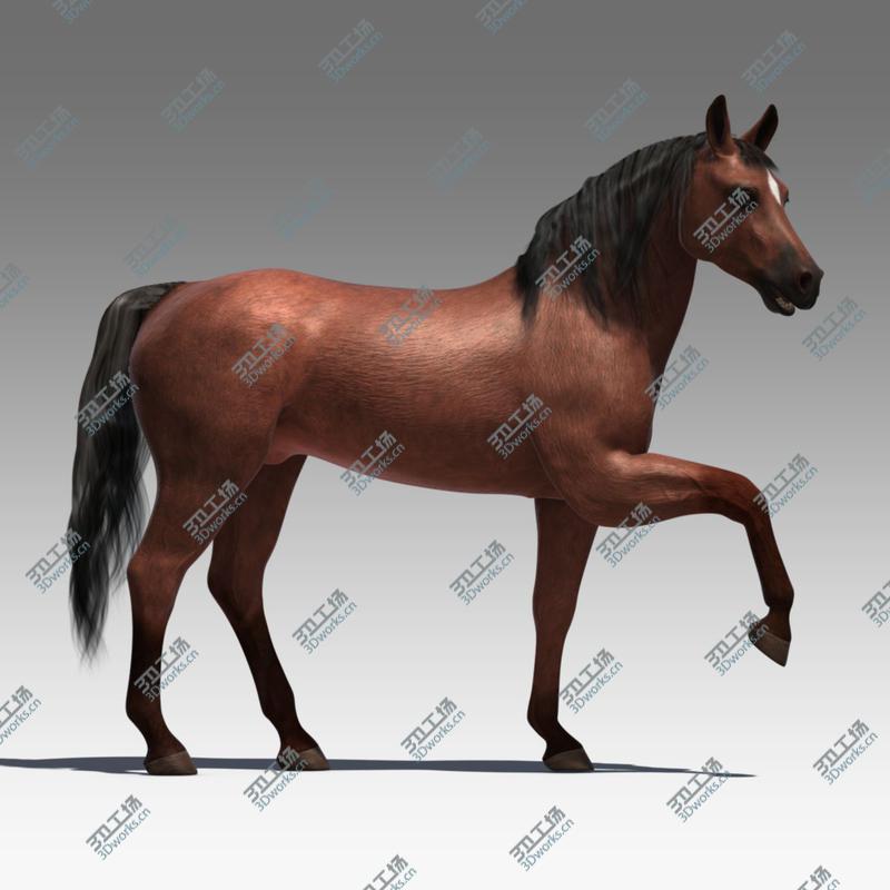 images/goods_img/20210113/Rigged and Animated Horse/3.jpg